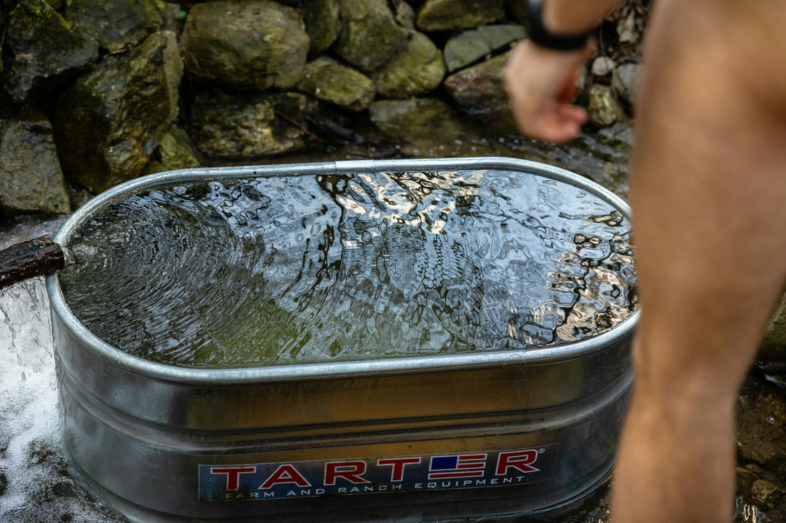 HOE BEGIN JE MET IJSBADEN THUIS - DE COMPLETE GIDS VOOR BEGINNERS